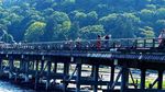 Hutan Bambu Arashiyama Pas untuk Liburan Romantis