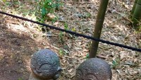 Patung Jizo yang ada di samping jalan hutan bambu