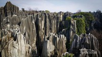 Pemandangan unik Stone Forest dari ketinggian (1)