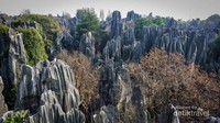 Pemandangan unik Stone Forest dari ketinggian (2)