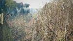 Hutan Batu di Kunming dan Legenda di Balik Keindahannya