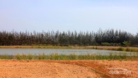 Danau Bangka Botanical Garden