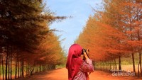 Serasa menikmati musim gugur di Eropa