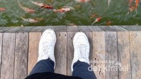 main bersama ikan di kolam trembesi