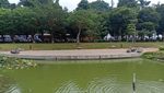 Hutan Kota GBK: Oase di Jakarta