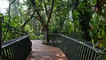 Hutan Kota, Tempat Ngadem di Babakan Siliwangi