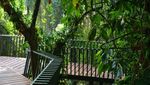 Hutan Kota, Tempat Ngadem di Babakan Siliwangi