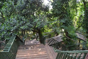 Hutan Kota, Tempat Ngadem di Babakan Siliwangi