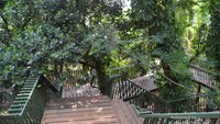 Hutan Kota