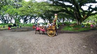 Kereta kencana di hutan benculuk