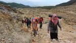 Hutan Mati, Tempat yang Wajib Dikunjungi di Papandayan
