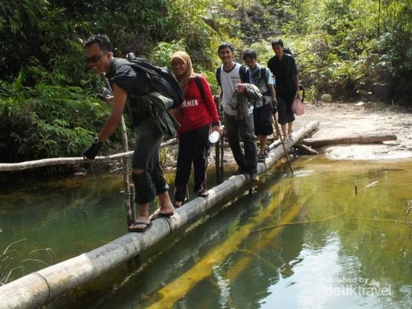 Hutan Pancur, Oasis Tersembunyi di Kota Batam