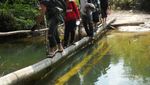 Hutan Pancur, Oasis Tersembunyi di Kota Batam