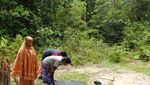 Hutan Pancur, Oasis Tersembunyi di Kota Batam
