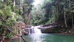 Hutan Pancur, Oasis Tersembunyi di Kota Batam