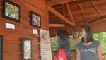 Hutan Pelawan, Bagai Oase Hijau di Pulau Bangka