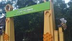 Hutan Pelawan, Bagai Oase Hijau di Pulau Bangka