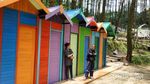 Hutan Pinus dan Kawasan Kemping Modern di Purworejo