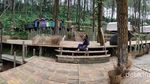 Hutan Pinus dan Kawasan Kemping Modern di Purworejo