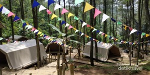 Hutan Pinus dan Kawasan Kemping Modern di Purworejo