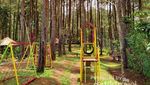 Hutan Pinus Kalilo, Wisata Instagramable di Purworejo