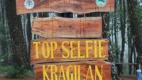 papan nama yang cukup besar terdapat di bagian dalam hutan pinus.
