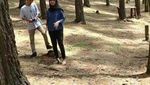 Hutan Pinus Mangunan, Dulunya Tandus Kini Digemari Wisatawan
