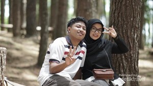 Hutan Pinus Mangunan, Dulunya Tandus Kini Digemari Wisatawan