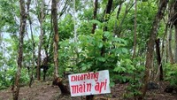 Larangan bermain api