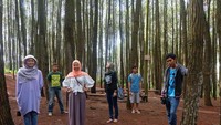 Berkunjung ke hutan pinus bersama teman-teman
