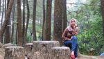 Hutan Pinus yang Instagenic, Bogor Juga Punya!