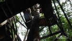Hutan Wisata Pengusir Jenuh: Bukit Bangkirai