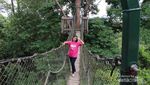Hutan Wisata Pengusir Jenuh: Bukit Bangkirai