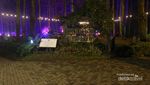 Hutan yang Indah di Bandung Saat Malam