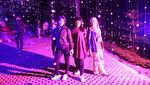 Hutan yang Indah di Bandung Saat Malam