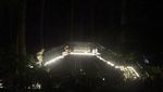 Hutan yang Indah di Bandung Saat Malam
