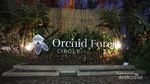 Hutan yang Indah di Bandung Saat Malam