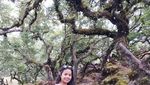 Hutan yang Terlihat Seram nan Keren, Namanya Fatumnasi