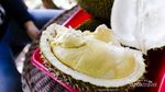 Icip-icip Durian Mantap di Semarang, Ini Tempatnya
