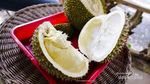 Icip-icip Durian Mantap di Semarang, Ini Tempatnya