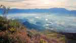 Ide Liburan Akhir Pekan: Mendaki Gunung Guntur di Garut