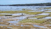 Pantai yang masih cukup sepi dari turis