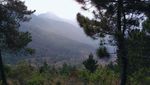 Ide Liburan: Naik Gunung Guntur