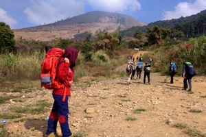 Ide Liburan: Naik Gunung Guntur