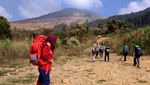 Ide Liburan: Naik Gunung Guntur