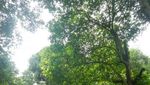 Ide Liburan Weekend Ini, Hiking ke Gunung Munara Bogor
