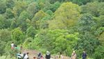 Ide Liburan Weekend Ini, Hiking ke Gunung Munara Bogor