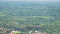 View dari puncak Munara