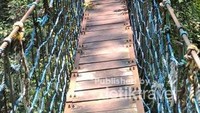Canopy Trail