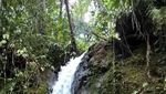 Ide Liburan Weekend Ini, ke Taman Nasional Gunung Halimun